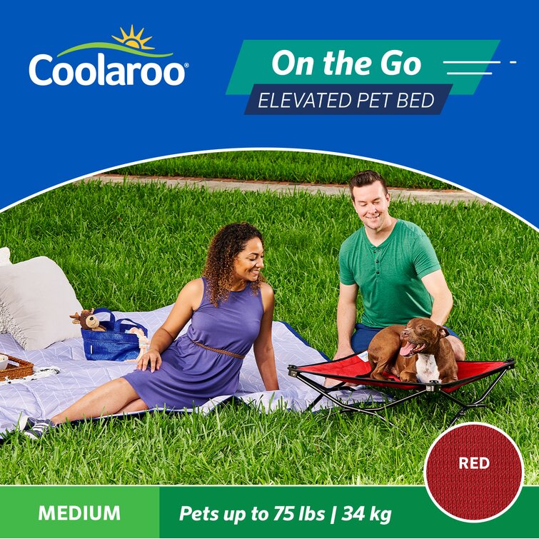 Coolaroo elevated hotsell dog bed